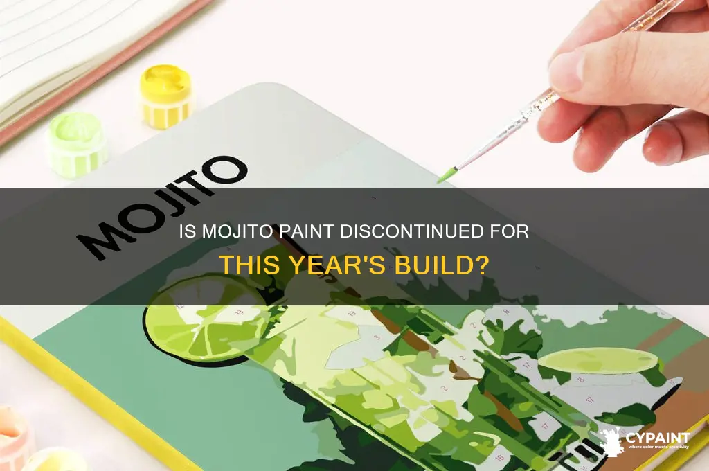 is mojito paint done for this build year