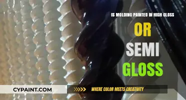 Molding Paint: High Gloss or Semi-Gloss?