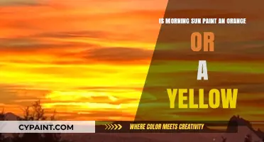 Sunrise Paint: Yellow or Orange?