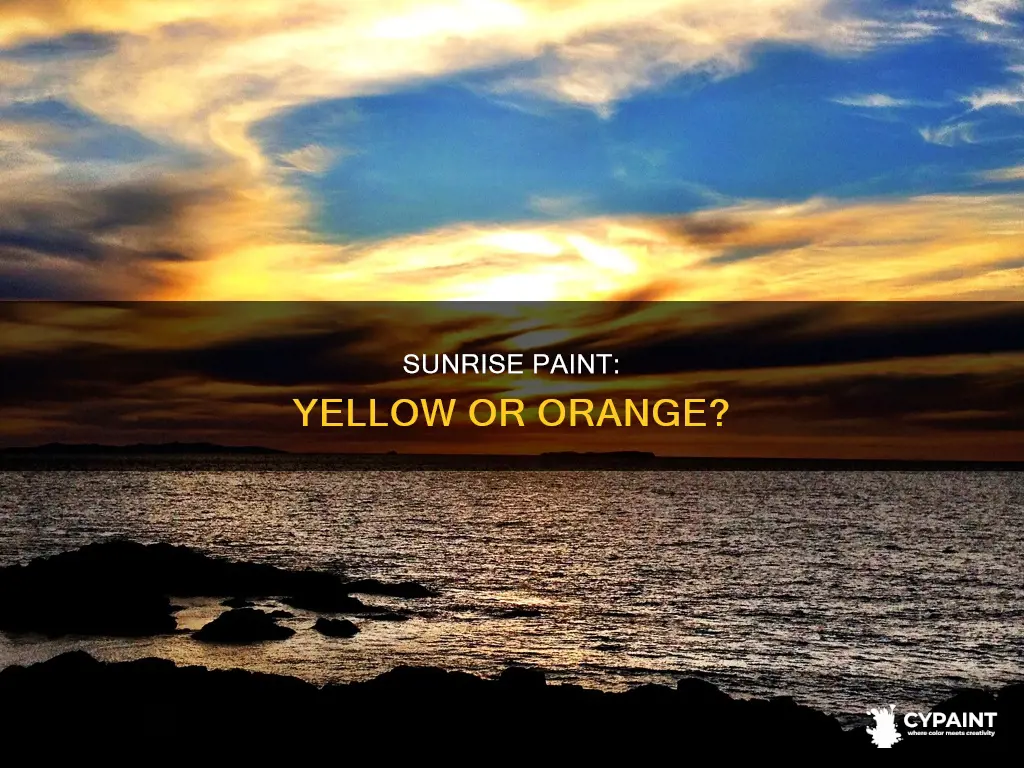 is morning sun paint an orange or a yellow
