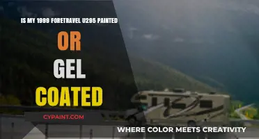 Exploring the 1999 Foretravel U295's Exterior: Paint or Gel Coat?