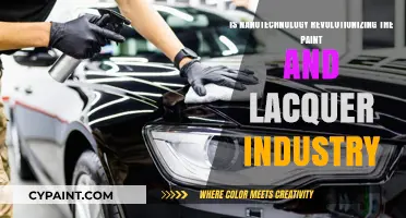 Nanotechnology's Impact: Transforming Paint and Lacquer Industry Innovations