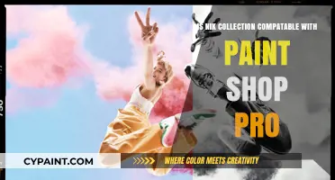 Is Nik Collection Compatible with PaintShop Pro? A Detailed Guide