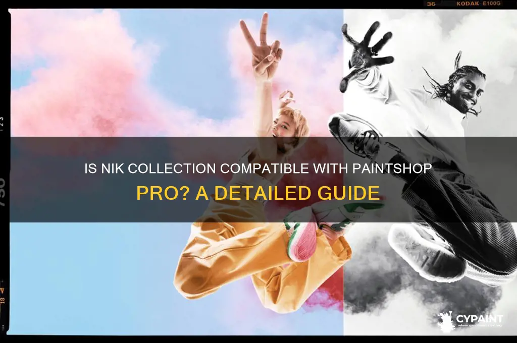 is nik collection compatable with paint shop pro