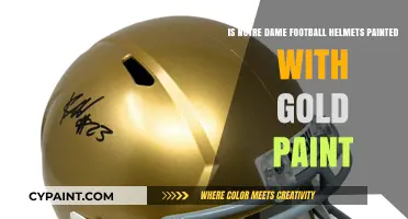 Golden Helmets: Notre Dame's Unique Paint Job