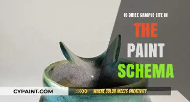 Exploring OBIEE Sample Lite in the Paint Schema: A Detailed Analysis