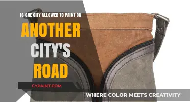 Cross-City Canvas: The Legal Battle Over Roadside Art