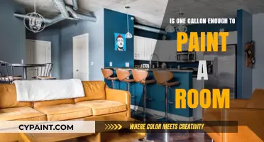 Is One Gallon Sufficient for Painting a Standard-Sized Room?