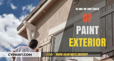 One vs. Two Coats: Exterior Paint Application Guide