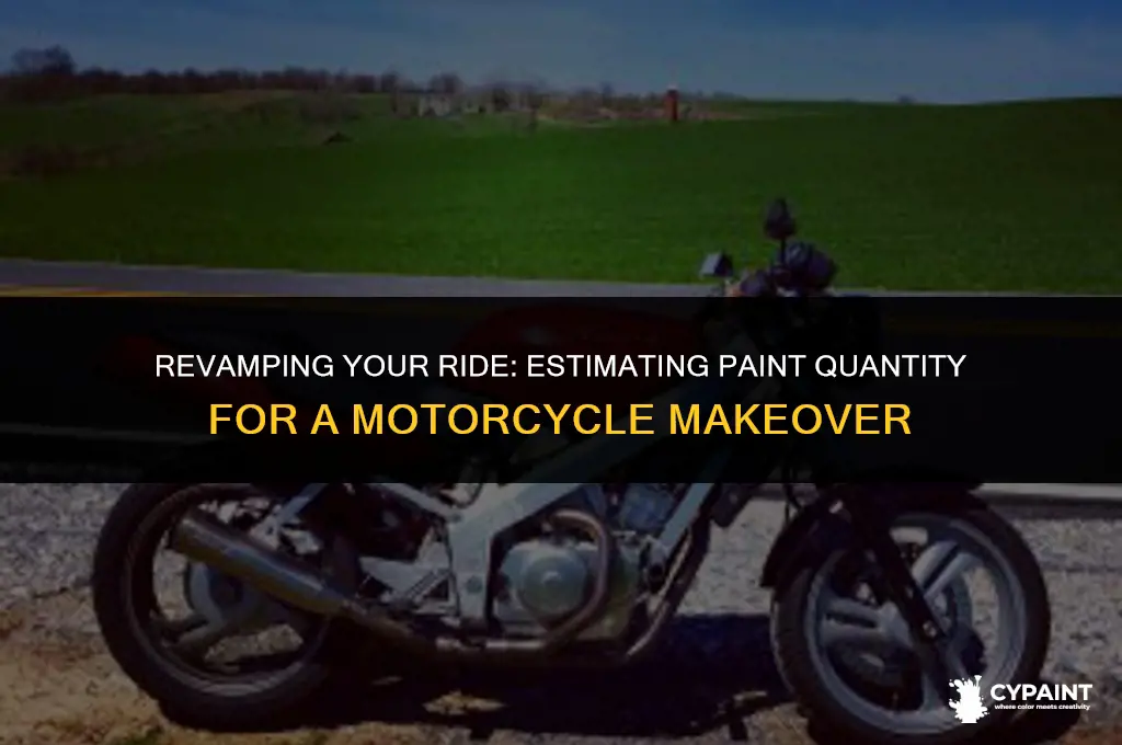 is one quart of paint enough to paint a motorcycle
