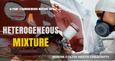 The Paint Mystery: Homogeneous or Heterogeneous Mixture?