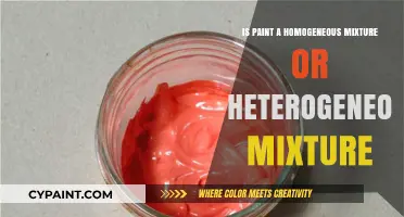 Understanding Paint: Homogeneous or Heterogeneous Mixture Explained