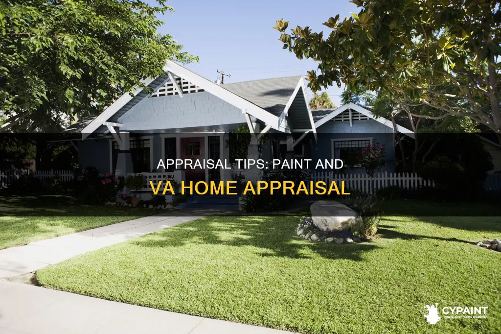 is paint a part of a va home appraisal