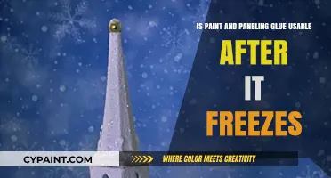 Thawing Paint and Paneling Glue: Still Usable?