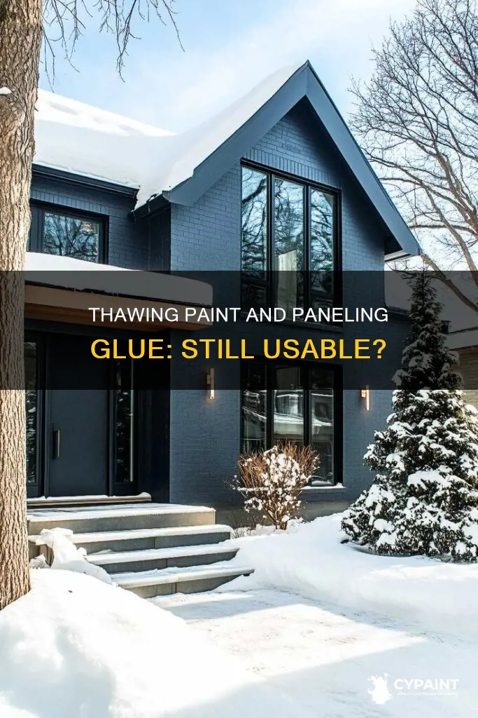 is paint and paneling glue usable after it freezes