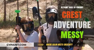 Is Paintball at Cherry Crest Adventure a Messy Thrill?