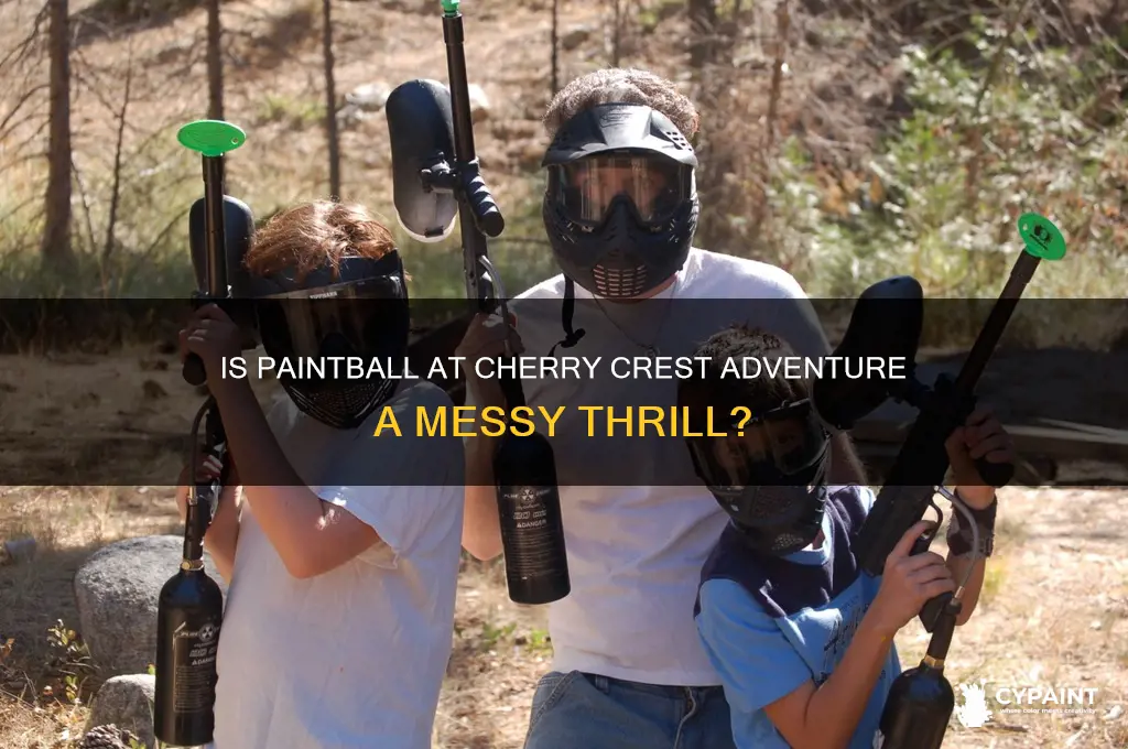 is paint ball at cherry crest adventure messy