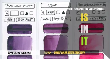 How Paint Pigment Affects Cost