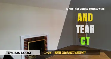 Is Paint Damage Normal Wear and Tear in Connecticut Rentals?