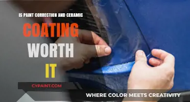 Paint Correction & Ceramic Coating: Worth the Investment for Your Car?
