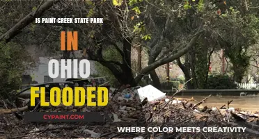 Is Paint Creek State Park Flooded? Current Conditions in Ohio