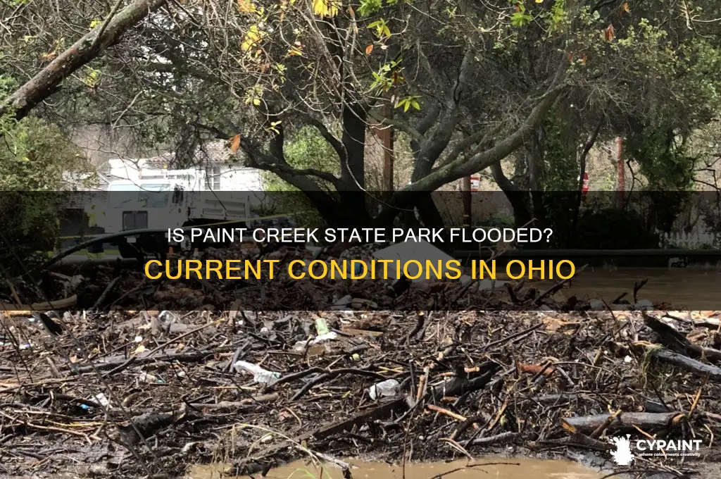 is paint creek state park in ohio flooded