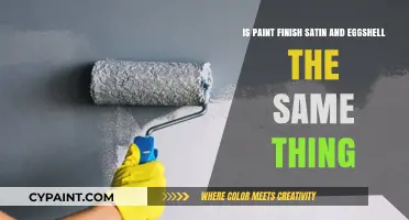 Satin vs. Eggshell: What's the Difference in Paint Finishes?