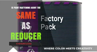 Paint Flattening Agent vs. Reducer: Understanding the Key Differences