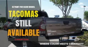 Finding Paint for Older Toyota Tacomas: Availability and Options