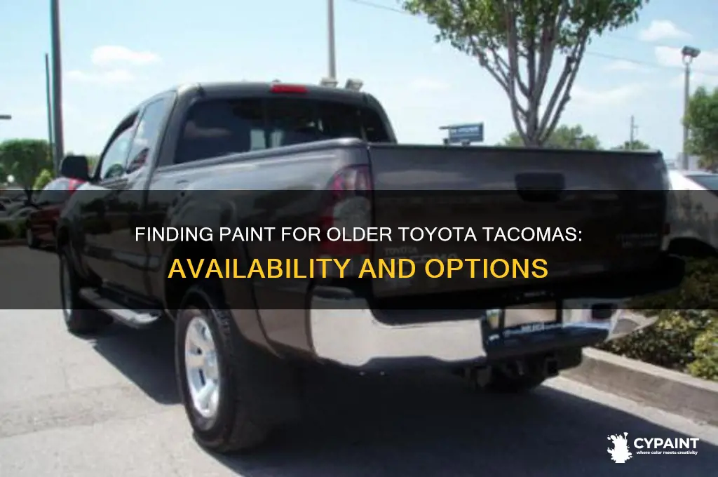 is paint for older model tacomas still available