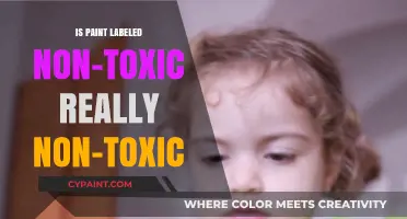 Non-Toxic Paint Labels: Are They Truly Safe for Everyone?