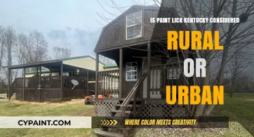 Is Paint Lick, Kentucky Rural or Urban? Exploring Its Classification