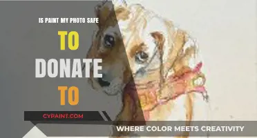 Is Paint My Photo a Safe Donation Option? A Comprehensive Review