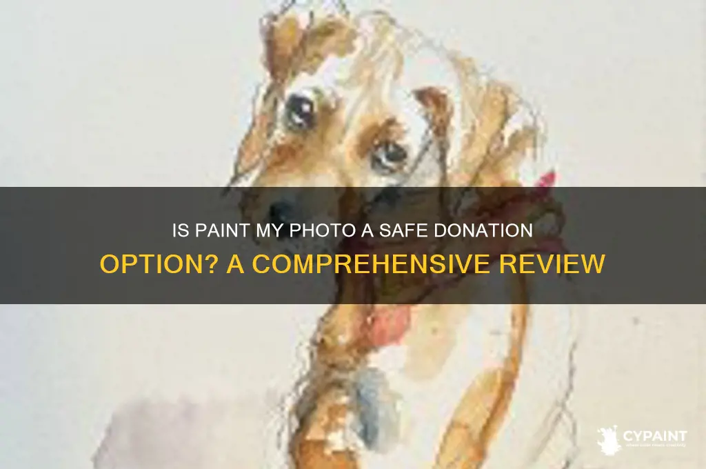 is paint my photo safe to donate to
