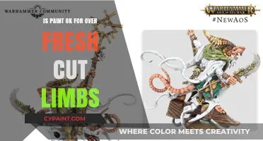 Can You Safely Paint Freshly Cut Tree Limbs? Expert Advice