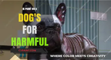 Is Paint on a Dog's Fur Harmful? Safety Tips for Pet Owners