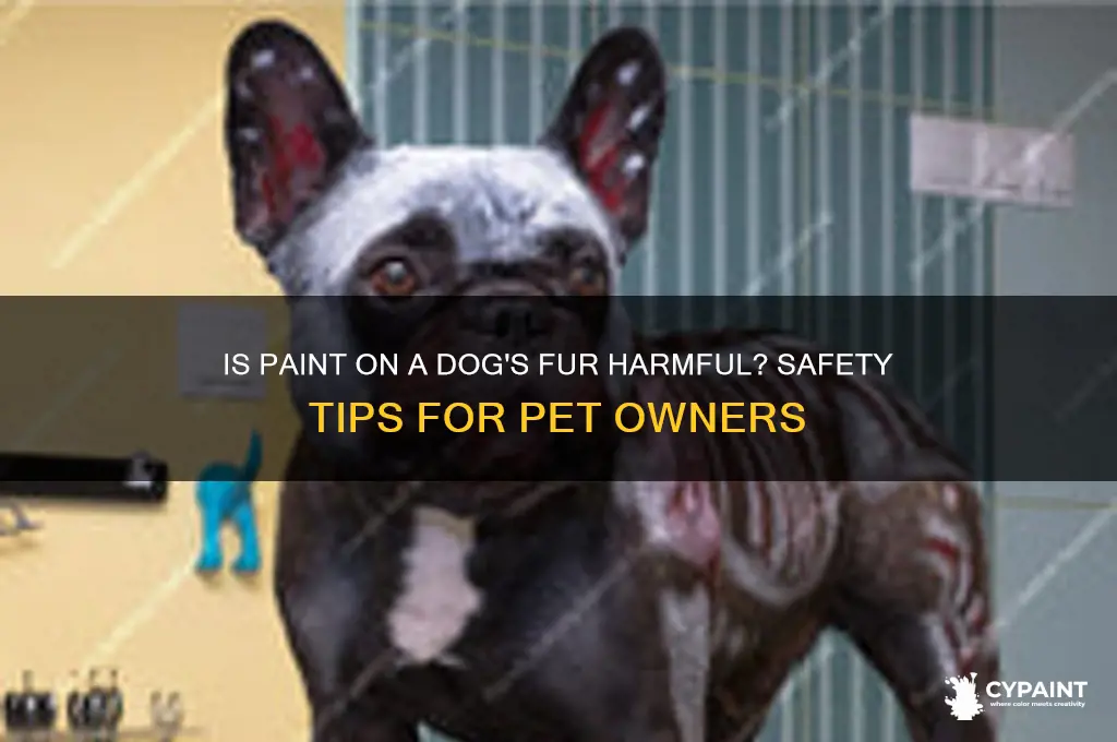 is paint on a dog