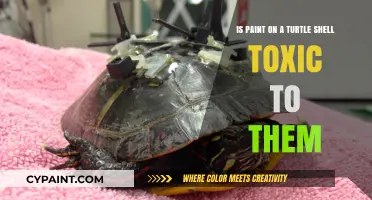 Paint on Turtle Shells: Toxic Trend?