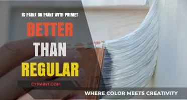Primer-Paint: A Better Option Than Regular Paint?