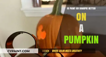 Paint vs. Sharpie: Which Works Best for Pumpkin Decorating?