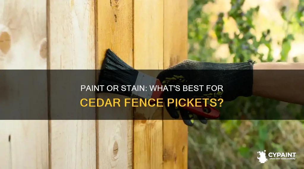 is paint or stain better for cedar fence pickets