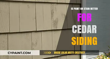 Paint vs. Stain: Which is Best for Cedar Siding?
