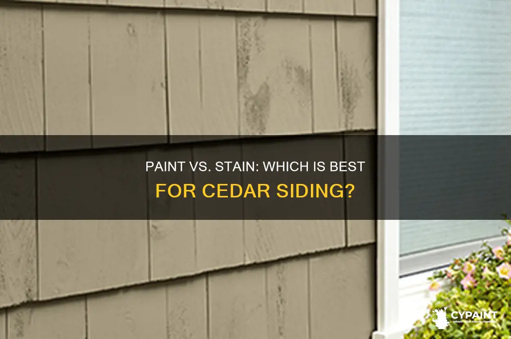 is paint or stain better for cedar siding
