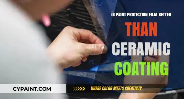 Paint Protection Film vs. Ceramic Coating: Which Shields Your Car Best?