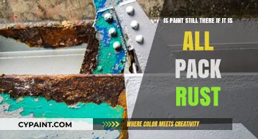 Unveiling the Truth: Paint's Resilience Amidst Rampant Rust