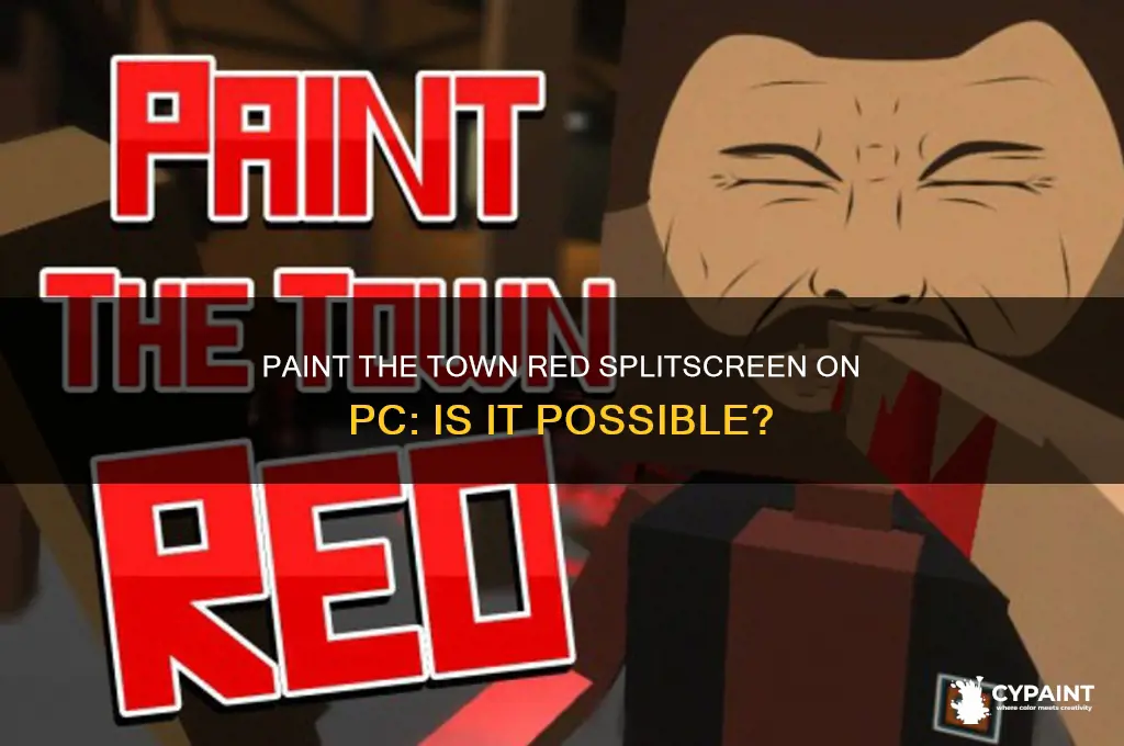 is paint the town red splitscreen on pc