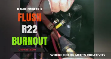 Is Paint Thinner Safe for Flushing R22 Burnout? Risks Explained