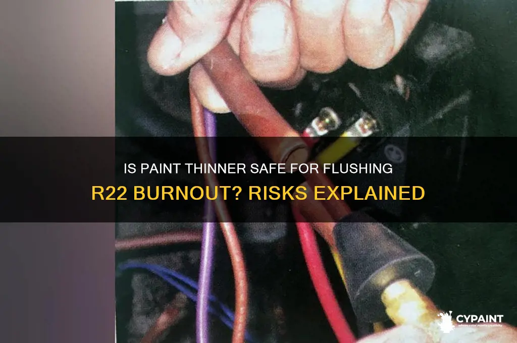 is paint thinner ok to flush r22 burnout
