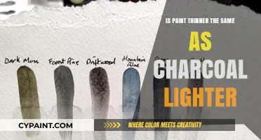 Paint Thinner vs. Charcoal Lighter: Understanding Their Unique Uses and Differences