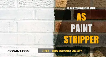 Paint Thinner vs. Paint Stripper: Understanding the Key Differences